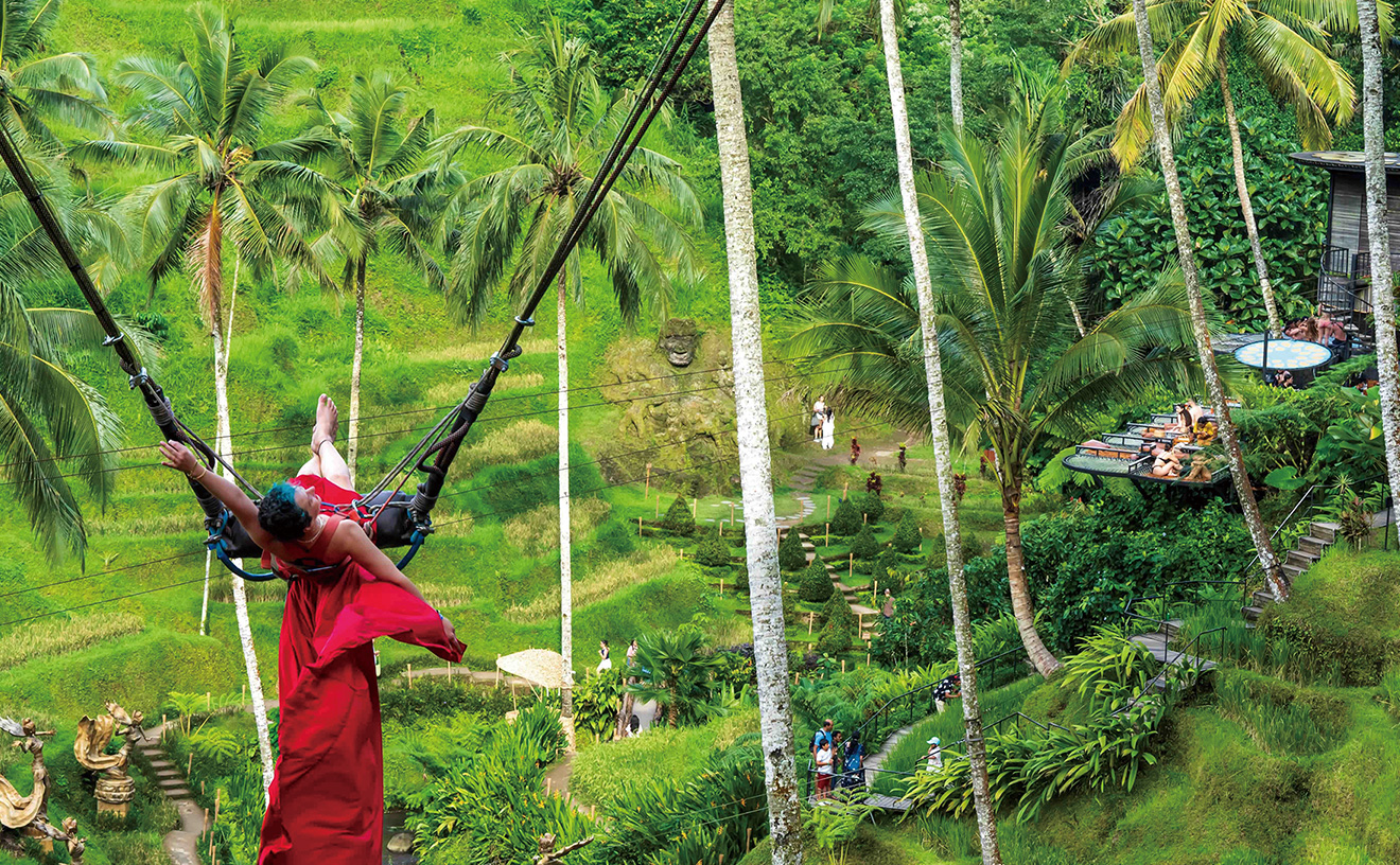 バリ島:テガラランの棚田
