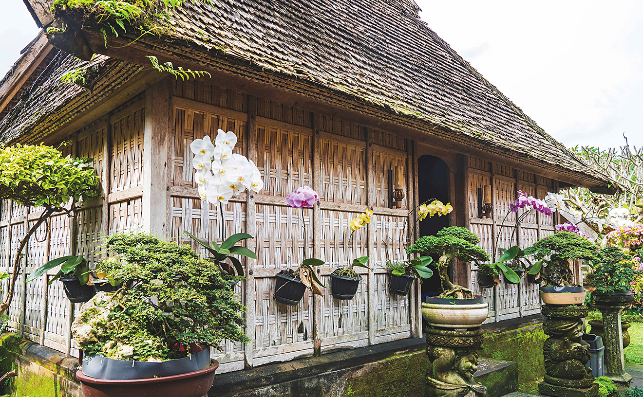 バリ島:パンリプラン村