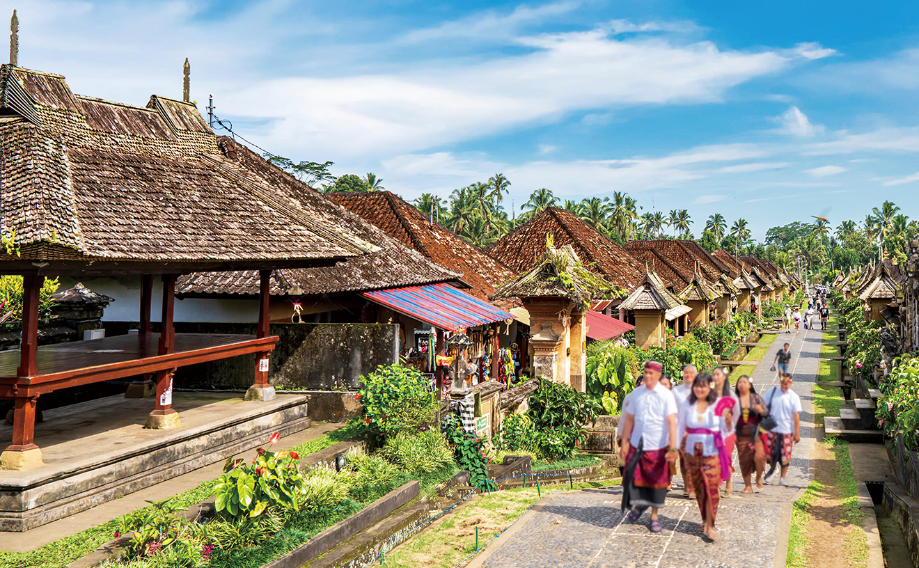 バリ島:パンリプラン村